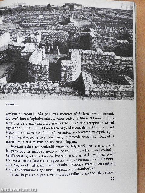 S középen ott a Velencei-tó...