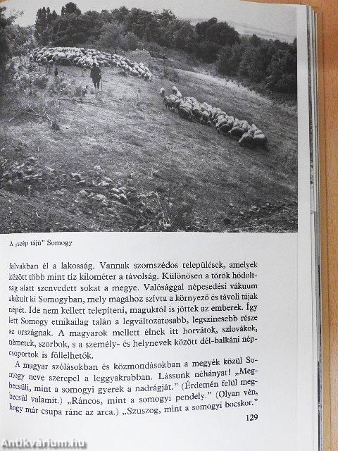 Zalamente, Somogyország