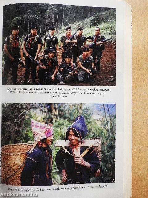 A drog árnyékában