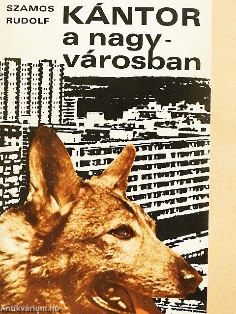 Kántor a nagyvárosban