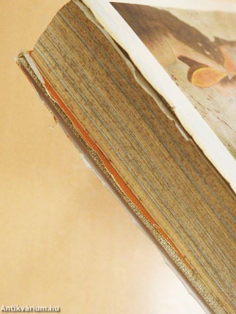 Sírok, csontok, emberek