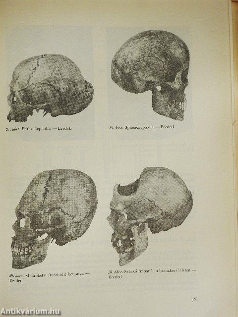 Embertan és emberszármazástan