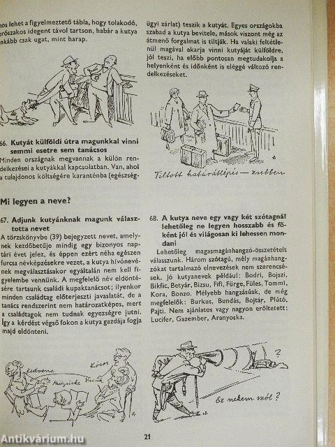 400 tanács kutyakedvelőknek