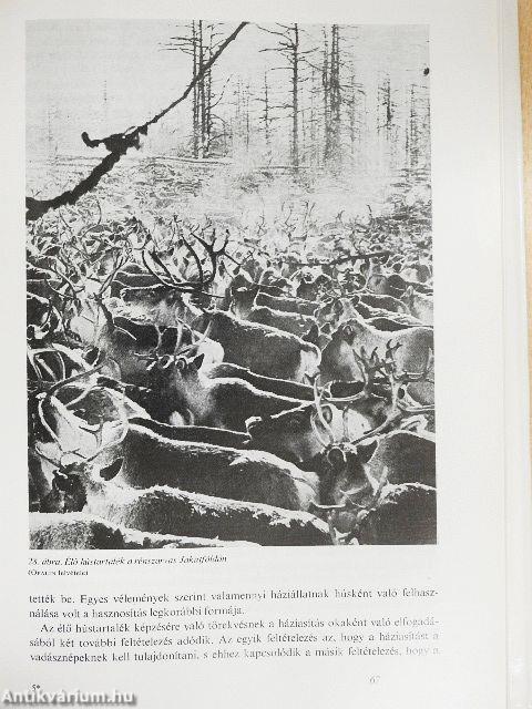 A háziállatok eredete