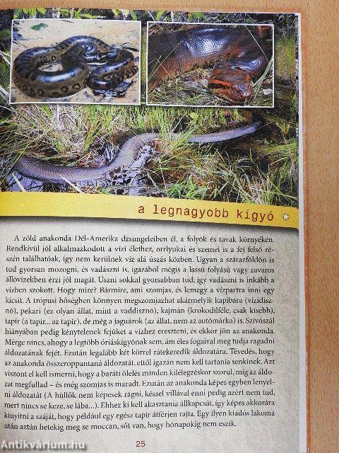 Állati rekordok a világ körül