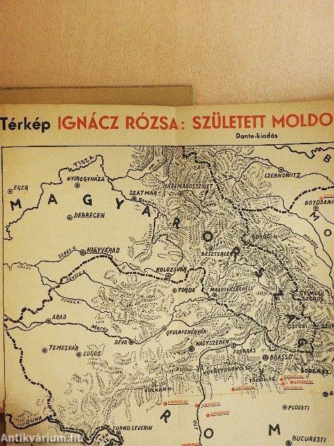 Született Moldovában