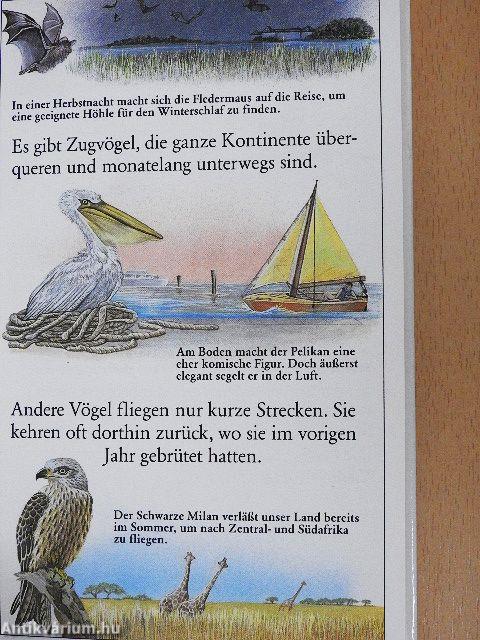 Tiere auf Wanderschaft