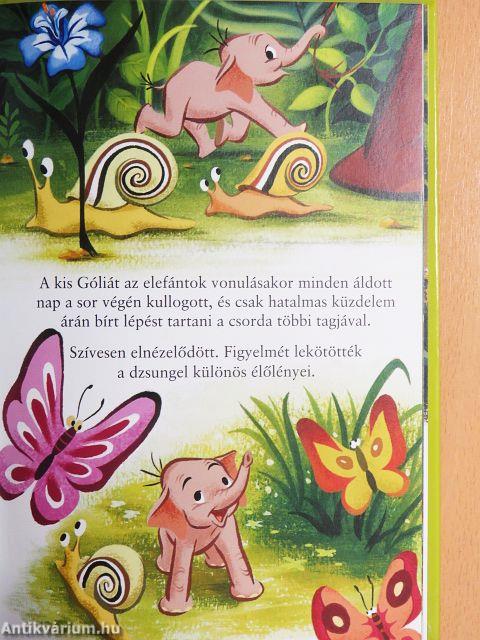 II. Góliát, a kiselefánt