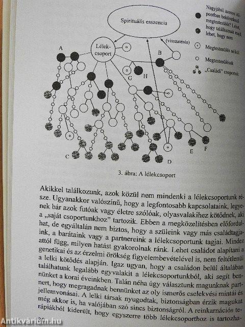 Rokon lelkek, lelki társak