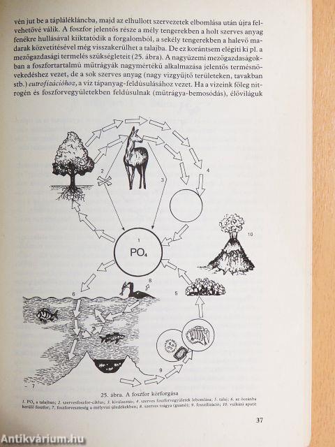 Játékos természetismeret