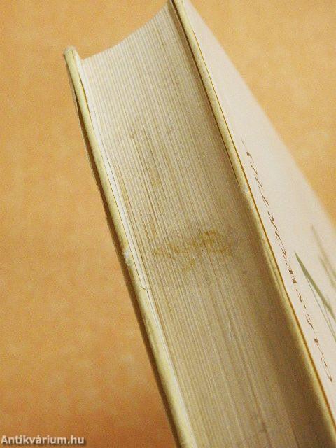 A Forsyte-Saga 1-2./Modern komédia 1-2.