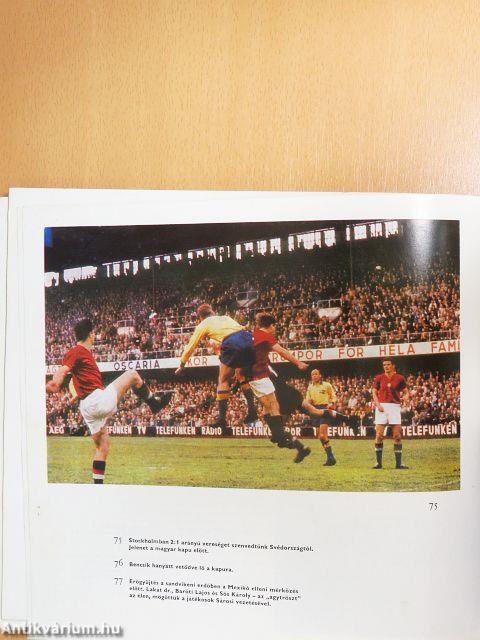 Labdarúgó világbajnokságok