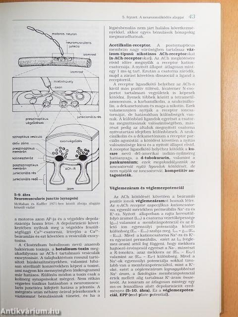 Élettan gyógyszerészhallgatók részére