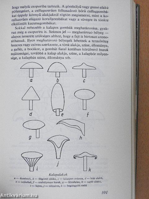 Ehető és mérges gombák