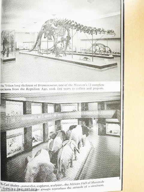 U.S.A. - An American Review