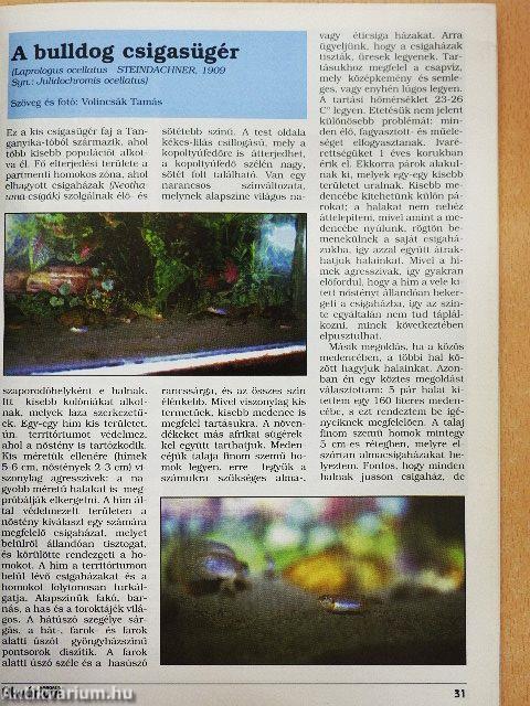 Akvárium Magazin 1998. (fél évfolyam)