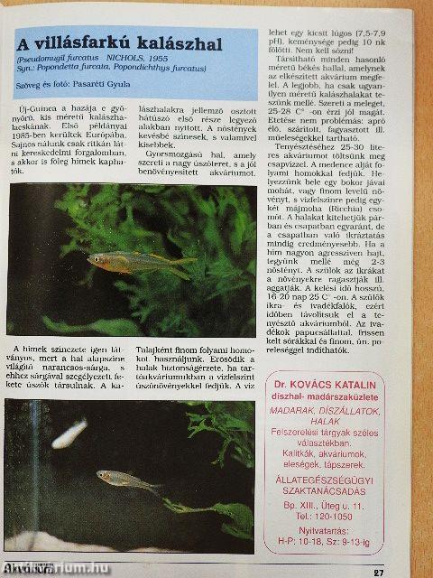 Akvárium Magazin 1998. (fél évfolyam)