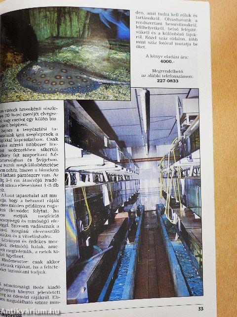 Akvárium Magazin 1998. (fél évfolyam)