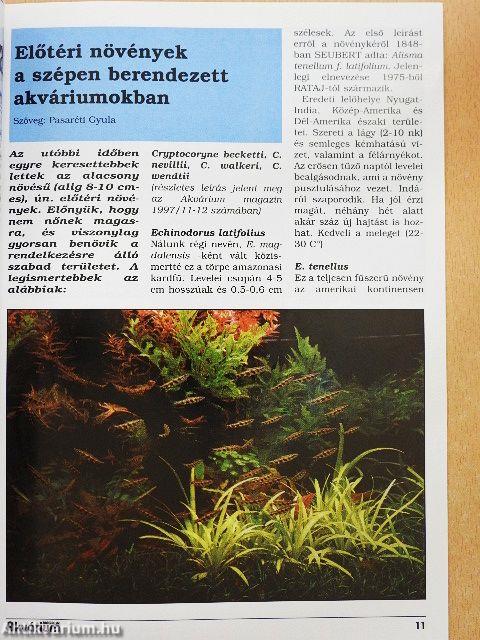 Akvárium Magazin 1998. (fél évfolyam)
