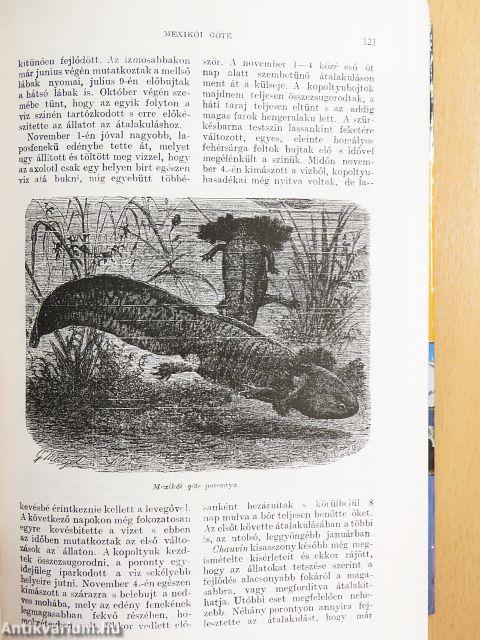 Brehm - Az állatok világa