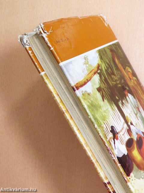 Hét év Bolíviában