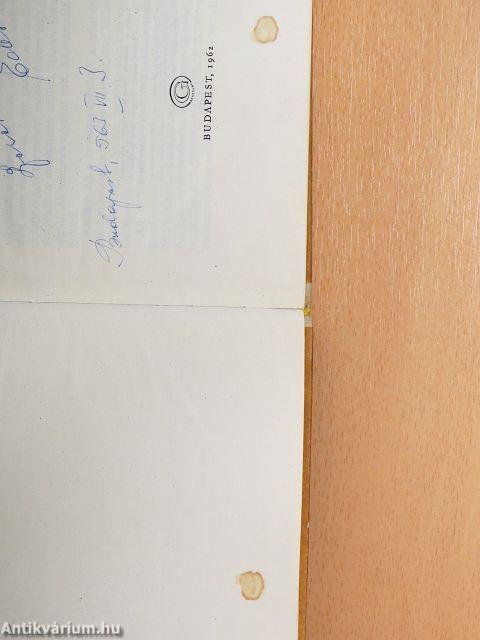 Sivatag és tenger között