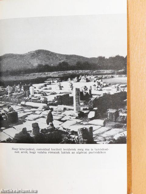 Sivatag és tenger között