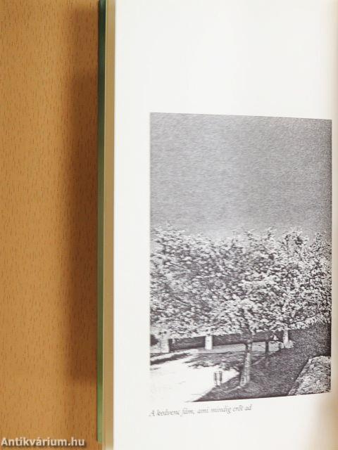 Egy testben az ellenséggel