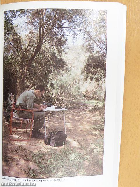 Az egérmadarak földjén