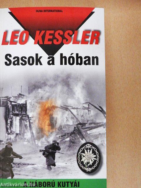 Sasok a hóban