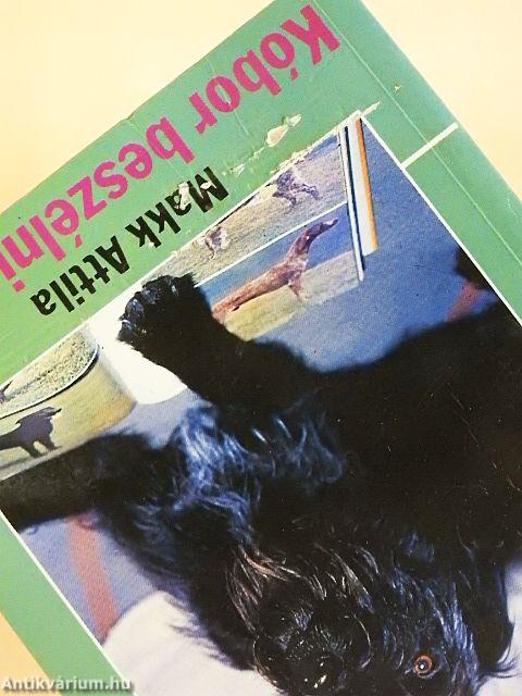 Kóbor beszélni tanul