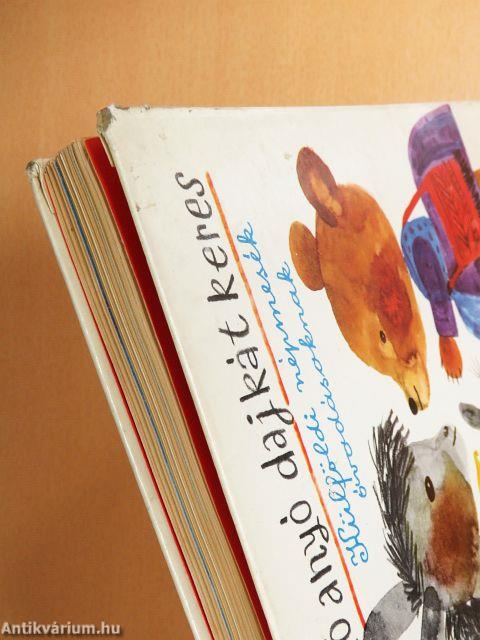 Mackó anyó dajkát keres