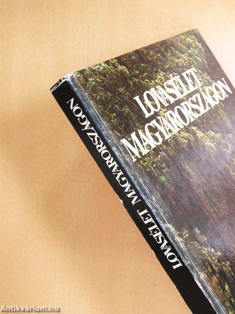 Lovasélet Magyarországon