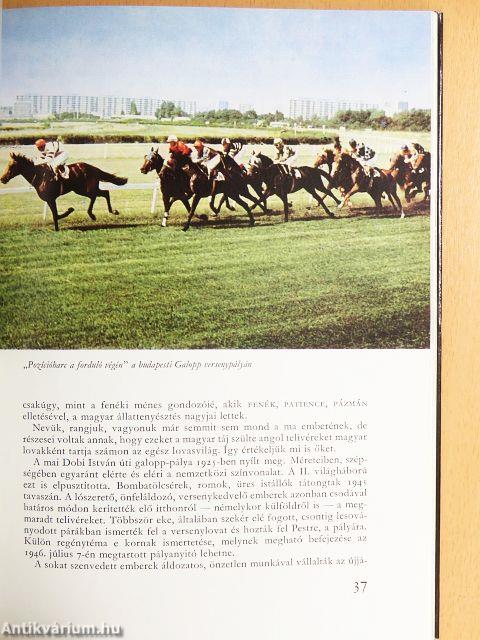 Lovasélet Magyarországon