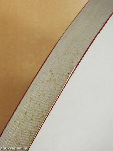 Szabó Lőrinc és felesége levelezése II.