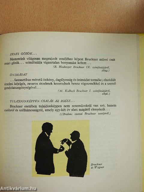 Megbukott zenekritikák