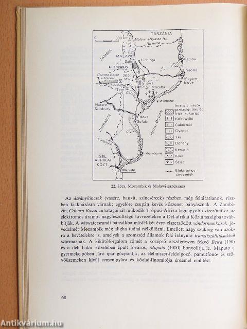 Afrika és a Közel-Kelet gazdaságföldrajza
