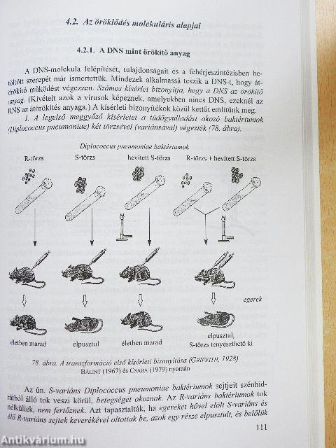 Biológiai ismeretek