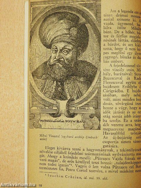 Vitéz Mihály vajda