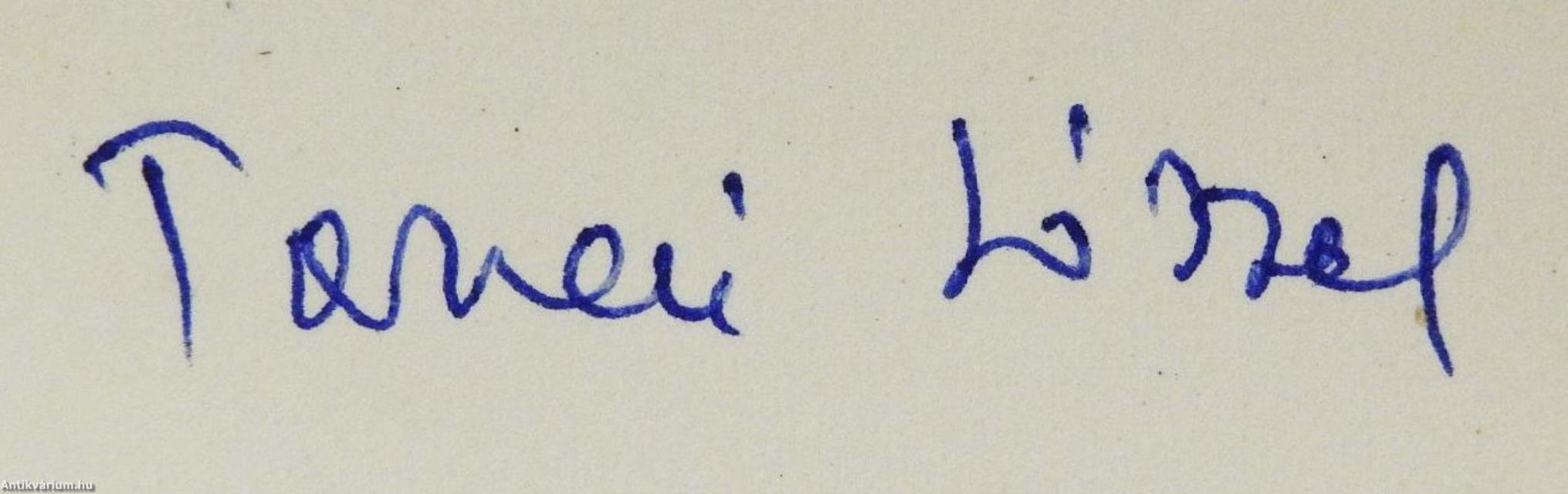 Tizenhét ábrándozás (dedikált példány)