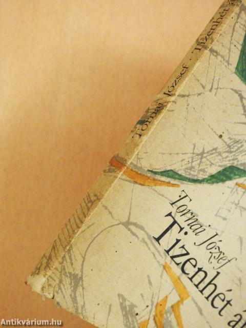 Tizenhét ábrándozás (dedikált példány)