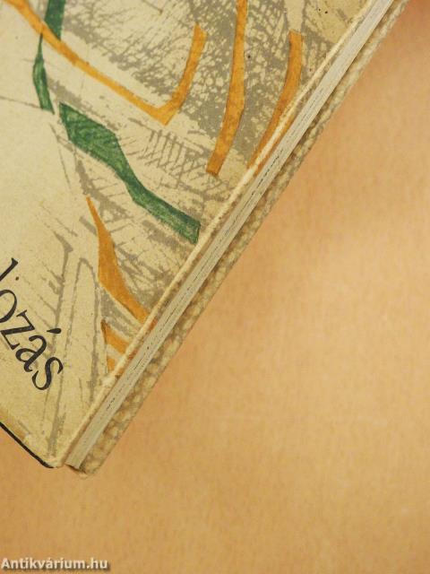 Tizenhét ábrándozás (dedikált példány)