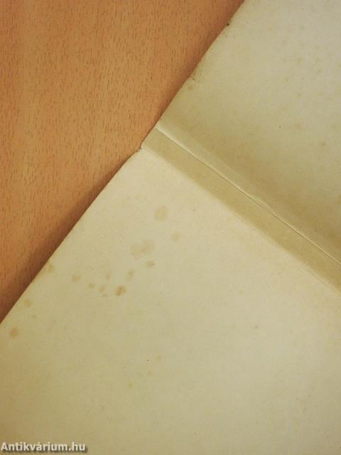 Tizenhét ábrándozás (dedikált példány)