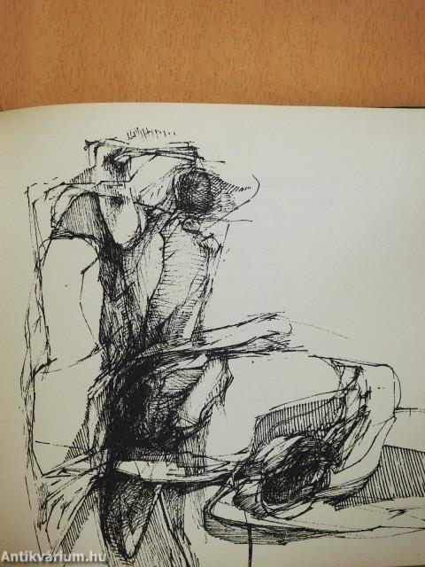 Tizenhét ábrándozás (dedikált példány)