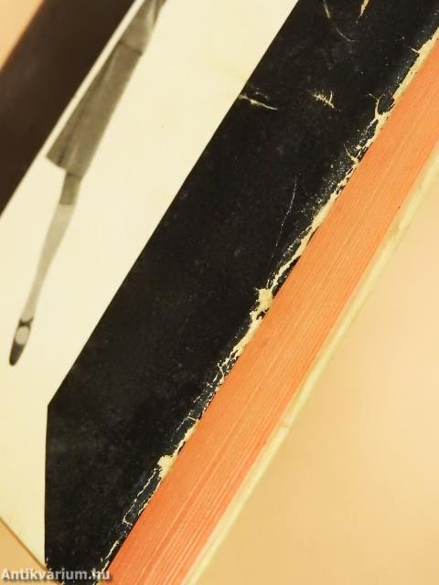 Apák lánya (dedikált példány)