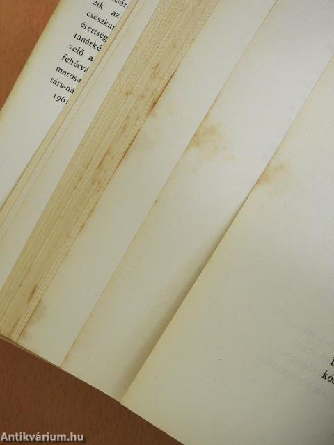 Beismerések (dedikált példány)