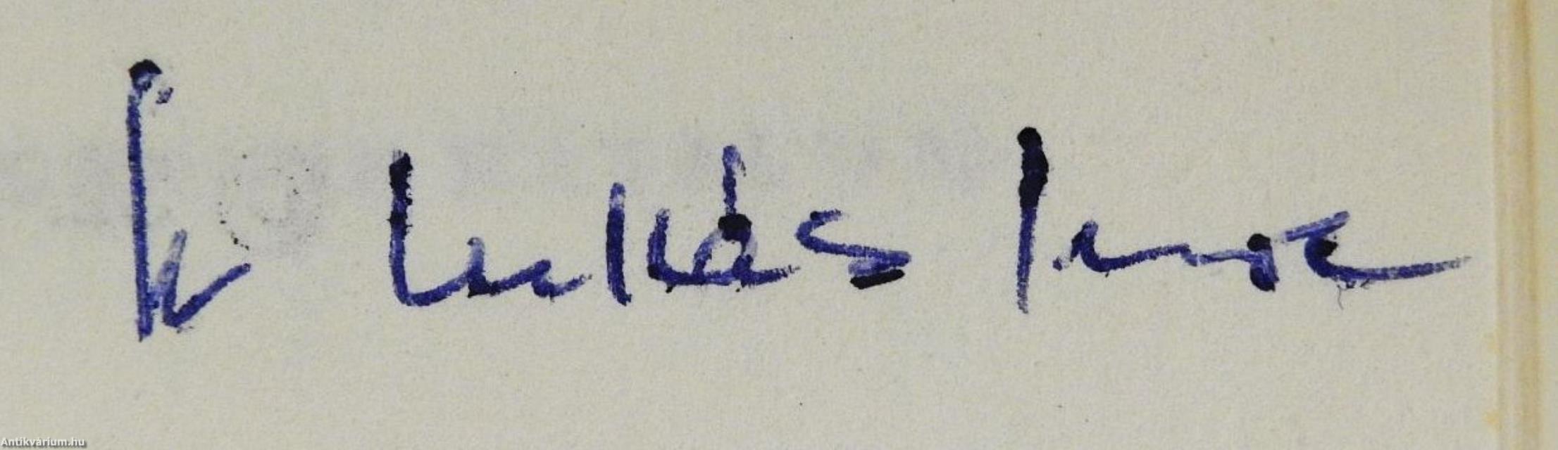 Szegények krónikája (dedikált példány)