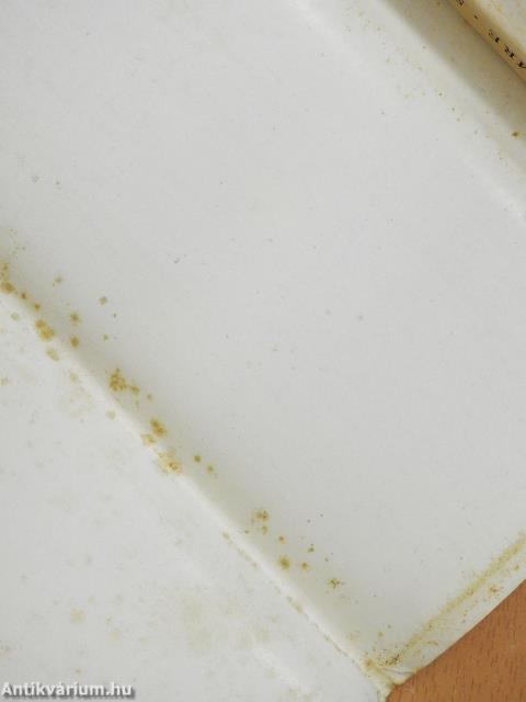 Szegények krónikája (dedikált példány)