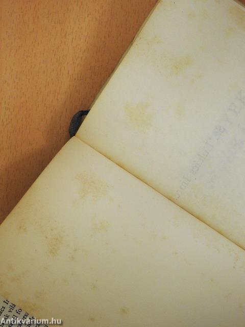 Szegények krónikája (dedikált példány)