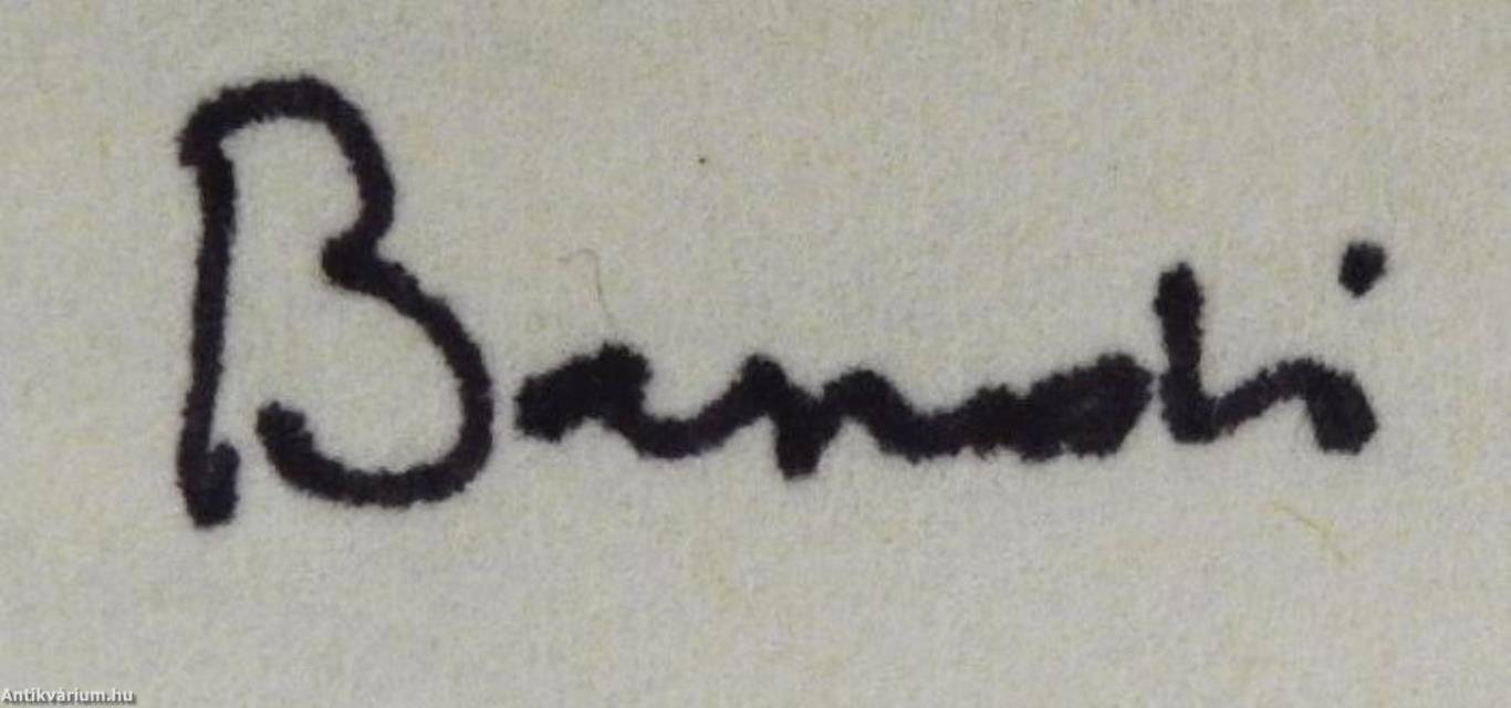 Hattyú az udvar fölött (dedikált példány)